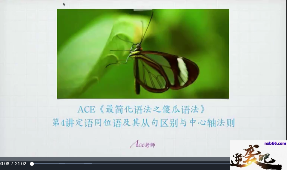ACE《傻瓜语法》小学初中中考新概念核心必备语法 22节课 教学视频